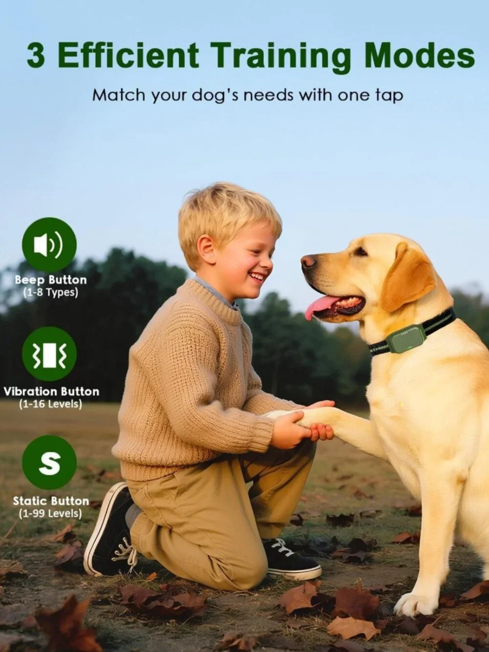Waterproof Dog Training Collar with Remote, 3 Training Modes, Adjustable